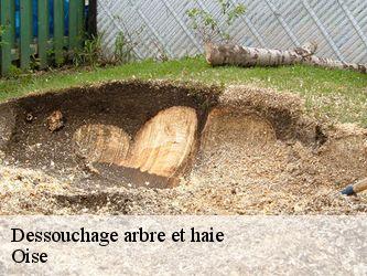 Dessouchage arbre et haie Oise 