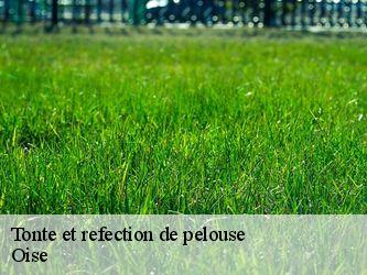 Tonte et refection de pelouse Oise 