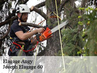 Elagage  angy-60250 Joseph Elagage