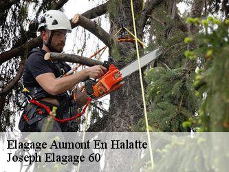 Elagage  aumont-en-halatte-60300 Joseph Elagage 60