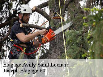 Elagage  avilly-saint-leonard-60300 Joseph Elagage