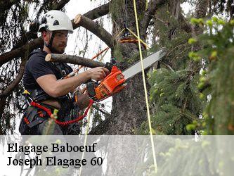 Elagage  baboeuf-60400 Joseph Elagage