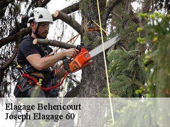 Elagage  behericourt-60400 Joseph Elagage 60