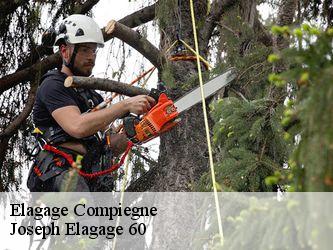 Elagage  compiegne-60200 Joseph Elagage 60