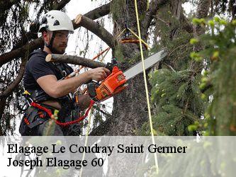 Elagage le-coudray-saint-germer-60850 Joseph Elagage 60