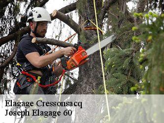 Elagage  cressonsacq-60190 Joseph Elagage