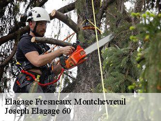 Elagage  fresneaux-montchevreuil-60240 Joseph Elagage