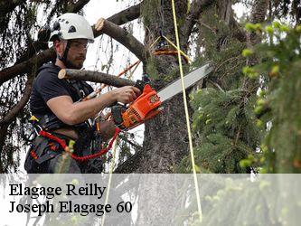 Elagage reilly-60240 Joseph Elagage 60