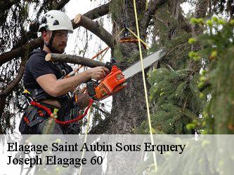 Elagage  saint-aubin-sous-erquery-60600 Joseph Elagage 60