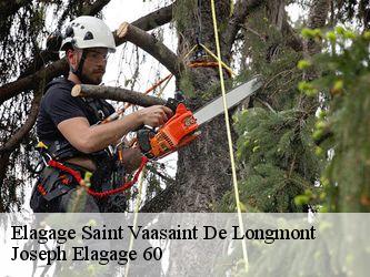 Elagage saint-vaasaint-de-longmont-60410 Joseph Elagage