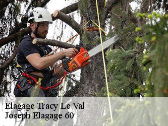 Elagage  tracy-le-val-60170 Joseph Elagage 60