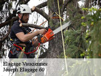 Elagage vauciennes-60117 Joseph Elagage 60