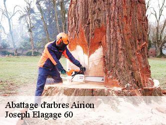 Abattage d'arbres  airion-60600 Joseph Elagage 60