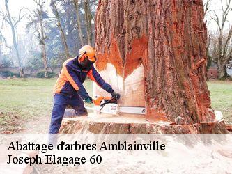 Abattage d'arbres  amblainville-60110 Joseph Elagage 60