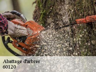 Abattage d'arbres  60120