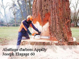 Abattage d'arbres  appilly-60400 Joseph Elagage 60