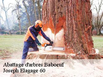 Abattage d'arbres  baboeuf-60400 Joseph Elagage 60
