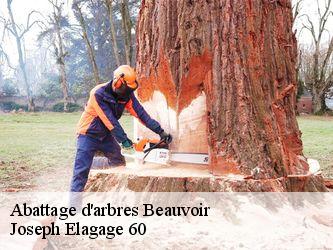Abattage d'arbres  beauvoir-60120 Joseph Elagage 60