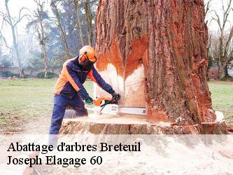 Abattage d'arbres  breteuil-60120 Joseph Elagage 60