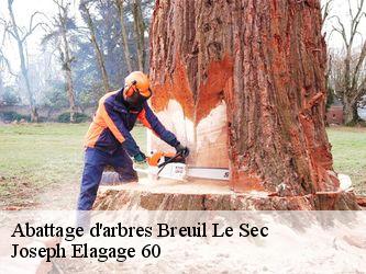 Abattage d'arbres  breuil-le-sec-60600 Joseph Elagage 60