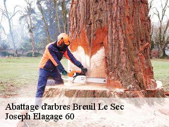 Abattage d'arbres breuil-le-sec-60600 Joseph Elagage 60
