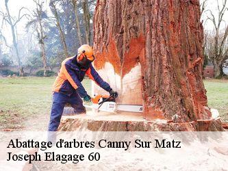 Abattage d'arbres  canny-sur-matz-60310 Joseph Elagage 60