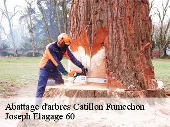 Abattage d'arbres  catillon-fumechon-60130 Joseph Elagage 60