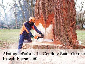 Abattage d'arbres  le-coudray-saint-germer-60850 Joseph Elagage 60