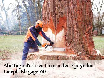 Abattage d'arbres  courcelles-epayelles-60420 Joseph Elagage 60
