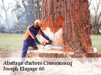 Abattage d'arbres  cressonsacq-60190 Joseph Elagage 60