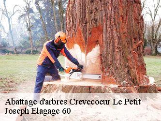 Abattage d'arbres  crevecoeur-le-petit-60420 Joseph Elagage 60