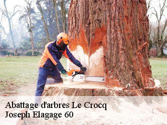 Abattage d'arbres  le-crocq-60120 Joseph Elagage 60