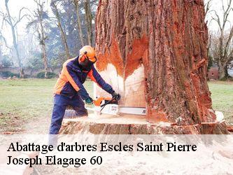 Abattage d'arbres  escles-saint-pierre-60220 Joseph Elagage 60