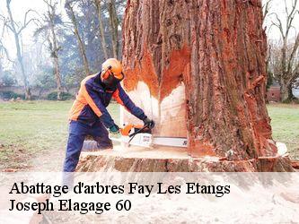 Abattage d'arbres fay-les-etangs-60240 Joseph Elagage 60