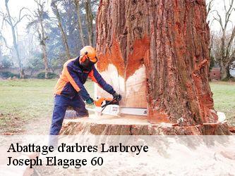 Abattage d'arbres  larbroye-60400 Joseph Elagage 60