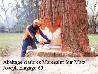Abattage d'arbres  maresaint-sur-matz-60490 Joseph Elagage 60