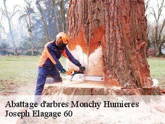 Abattage d'arbres monchy-humieres-60113 Joseph Elagage 60