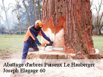 Abattage d'arbres  puiseux-le-hauberger-60540 Joseph Elagage 60