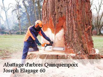 Abattage d'arbres  quinquempoix-60130 Joseph Elagage 60