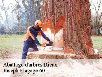 Abattage d'arbres  rieux-60870 Joseph Elagage 60