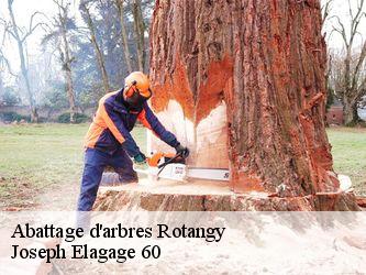 Abattage d'arbres  rotangy-60360 Joseph Elagage 60