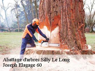 Abattage d'arbres  silly-le-long-60330 Joseph Elagage 60