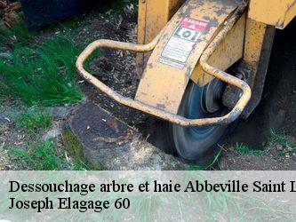 Dessouchage arbre et haie  abbeville-saint-lucien-60480 Joseph Elagage 60