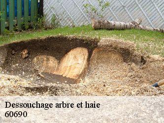 Dessouchage arbre et haie  60690