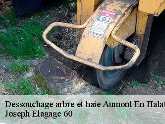 Dessouchage arbre et haie  aumont-en-halatte-60300 Joseph Elagage 60