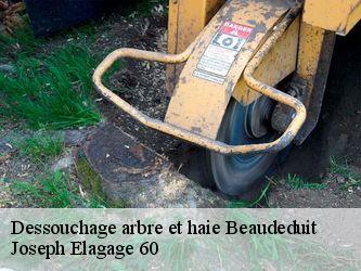 Dessouchage arbre et haie  beaudeduit-60210 Joseph Elagage 60