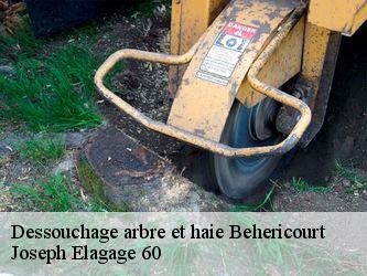 Dessouchage arbre et haie  behericourt-60400 Joseph Elagage 60