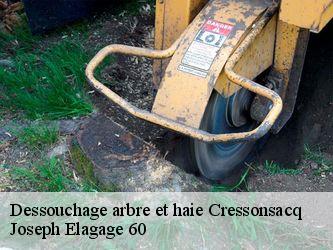Dessouchage arbre et haie  cressonsacq-60190 Joseph Elagage 60