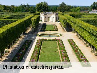 Plantation et entretien jardin