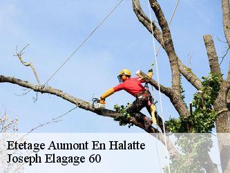 Etetage  aumont-en-halatte-60300 Joseph Elagage 60